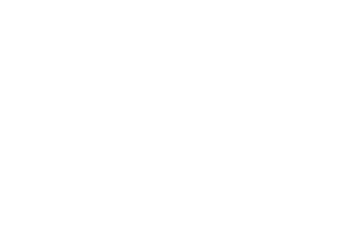 varadigital